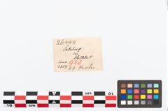 Etikett zu Perlenkette (NHMW-PRAE-026444)